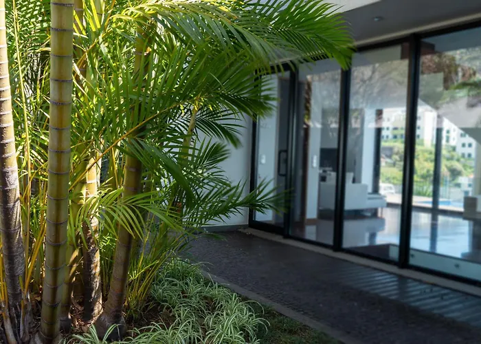 Ocean Sight By Lovelystay 푼샬